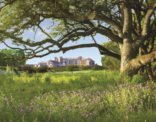 You Can Summer Like an All Star at this Beautiful Hill Country Resort