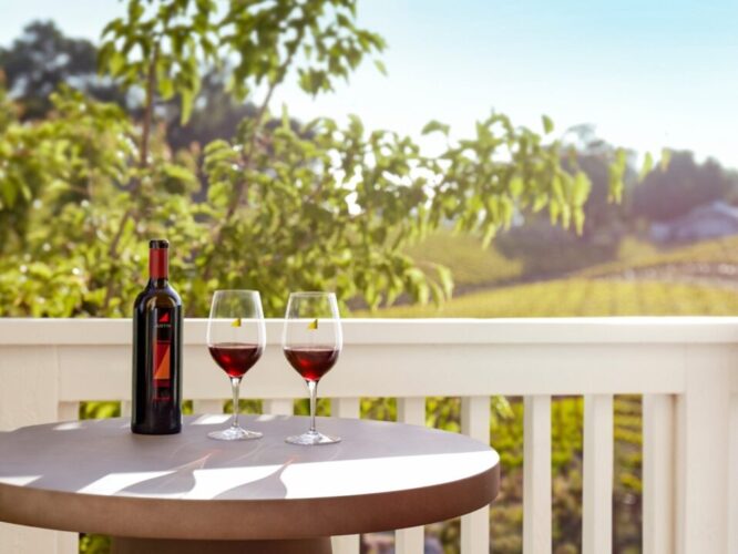 18 Oaks is Now Home to Largest Wine Collection in SA