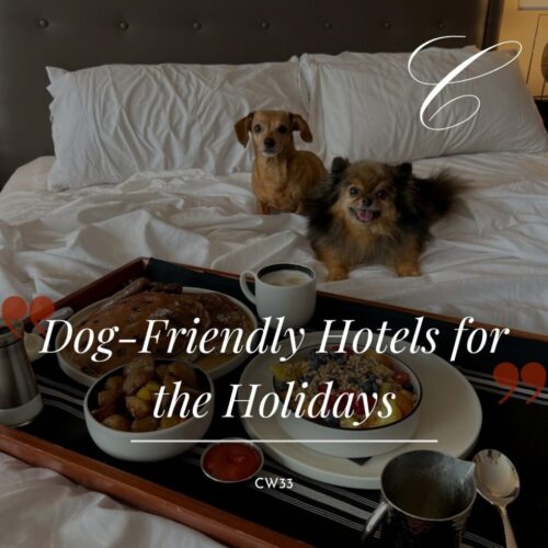 Dog-Friendly Hotels for The Holidays in Texas & Oklahoma